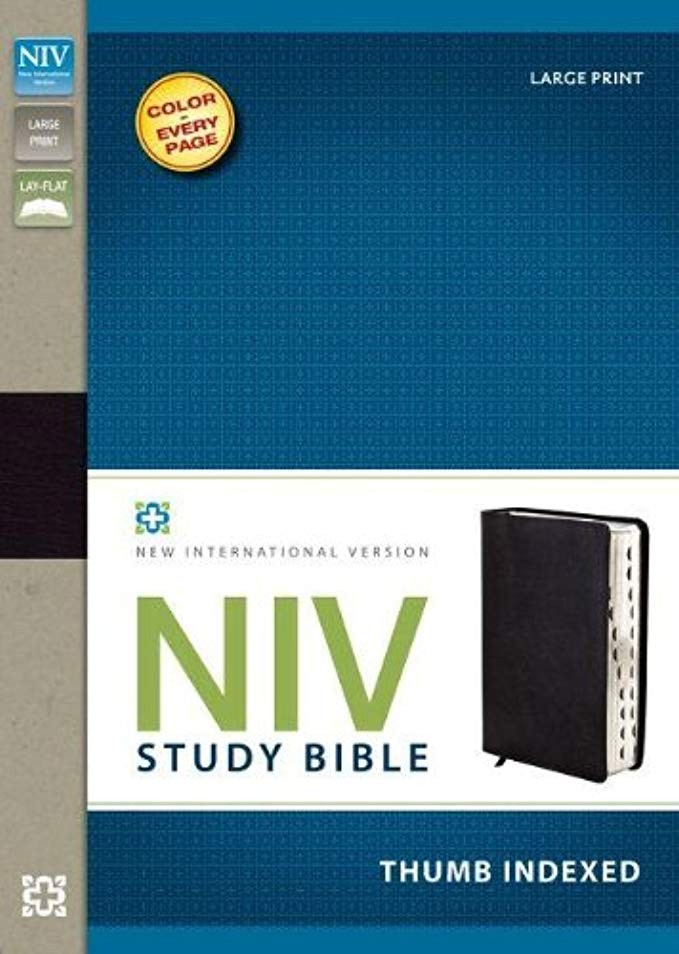 NIV Study Bible, Large Print, Bonded Leather, Black, Indexed, Red Letter Edition | Amazon (US)