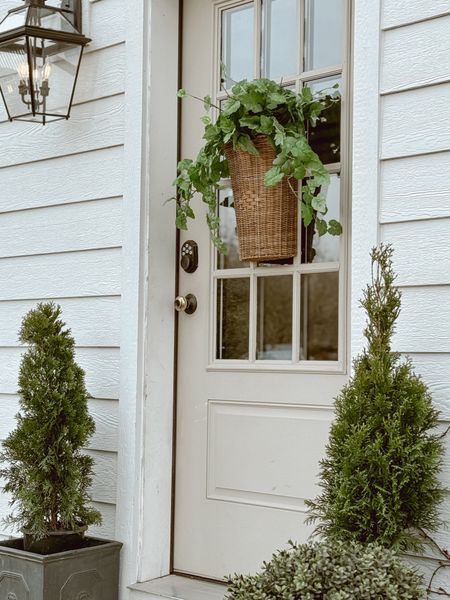 Cutest scalloped hanging basket 🧺 

#LTKSeasonal #LTKhome #LTKGiftGuide