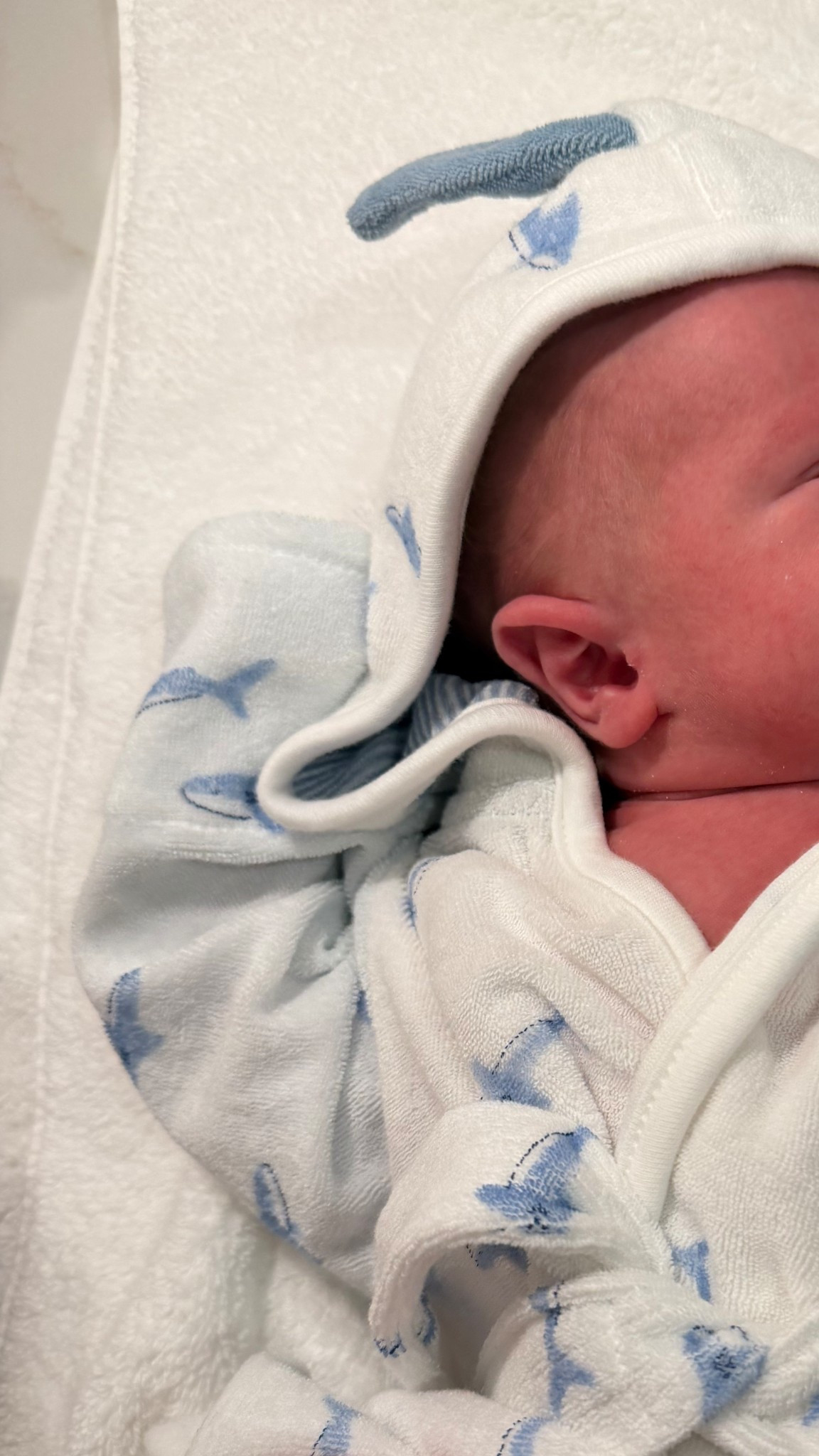 Shark baby robe 🦈🦈🦈

#LTKBaby #LTKmomlife #LTKKids