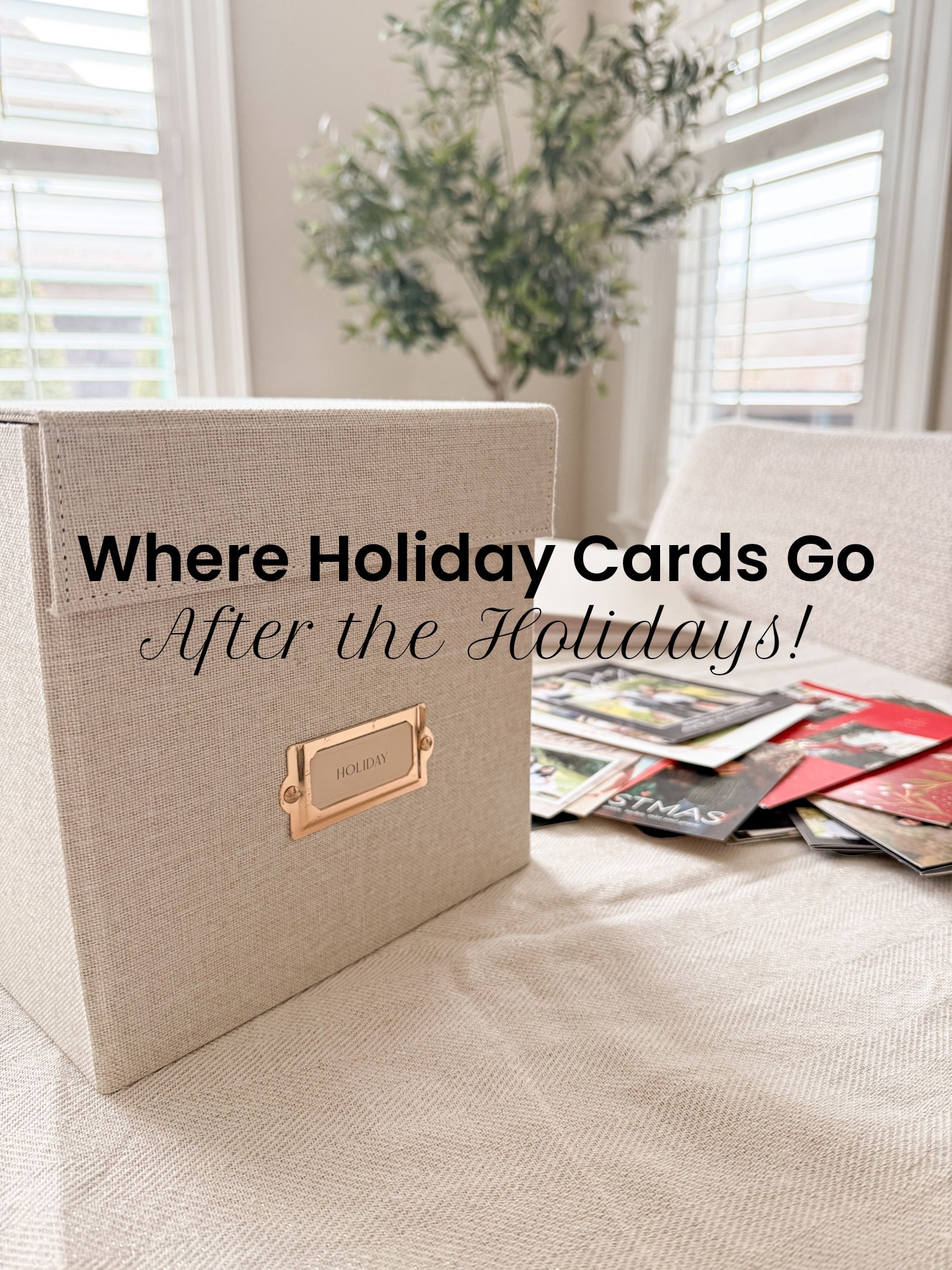 Organized Holiday Cheer - Without the Clutter 🎄

Once the holidays are over, here’s a chic and simple way to keep all those holiday cards from family and friends organized. Instead of letting them pile up, store them neatly in a compact linen box that holds up to 300 cards, with dividers for yearly sorting and a secure magnetic closure. A simple way to preserve memories while clearing clutter. This would make a great gift as well and work for birthday cards, mementos, and other keepsakes! 

#LTKGiftGuide #LTKHoliday #LTKHome
