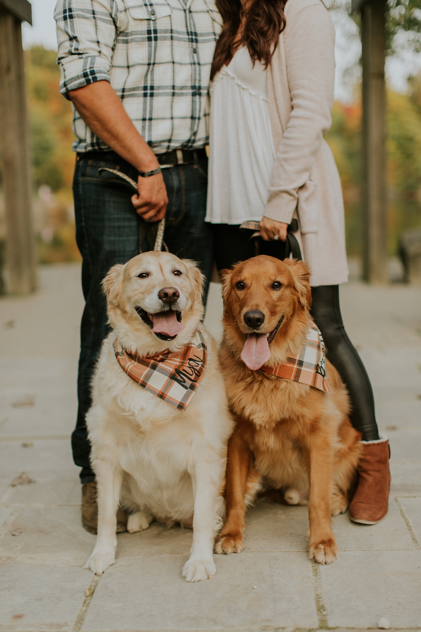 Not ready to let go of fall quite yet but winter is quickly upon us here in Ohio! 

Fall fashion, family photos, golden retrievers, fall family photos

#LTKfindsunder50 #LTKSeasonal #LTKfamily