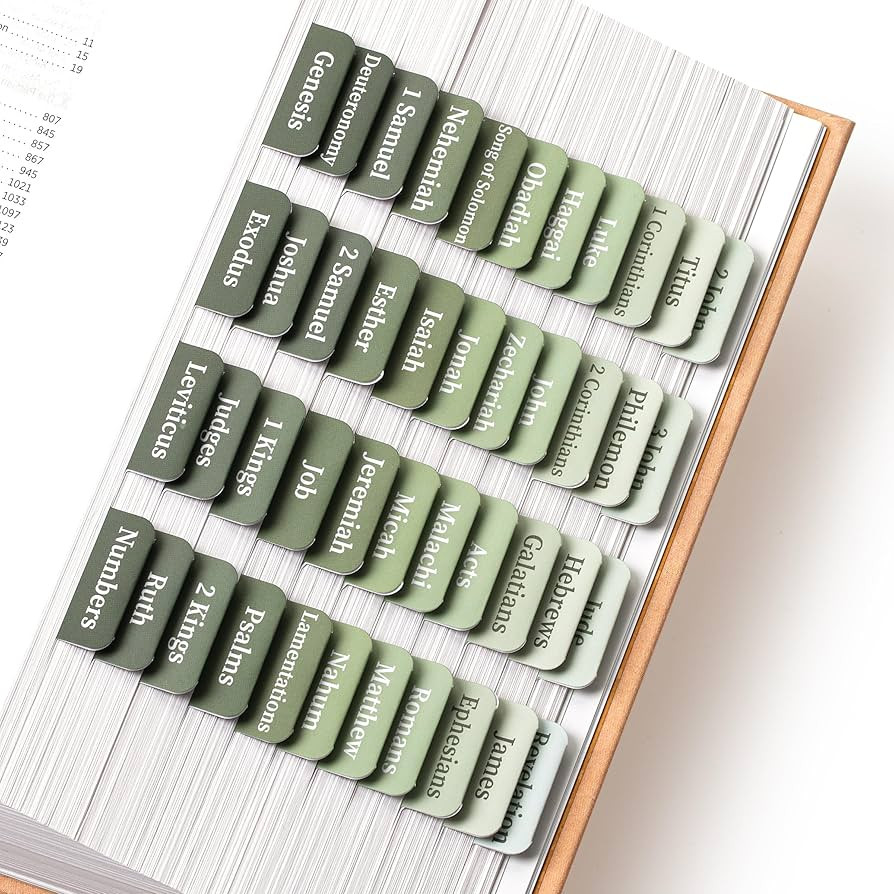 Mr. Pen- Bible Tabs, 75 Tabs, Sage Green, Laminated Bible Tabs for Women and Men, Bible Tabs for ... | Amazon (US)