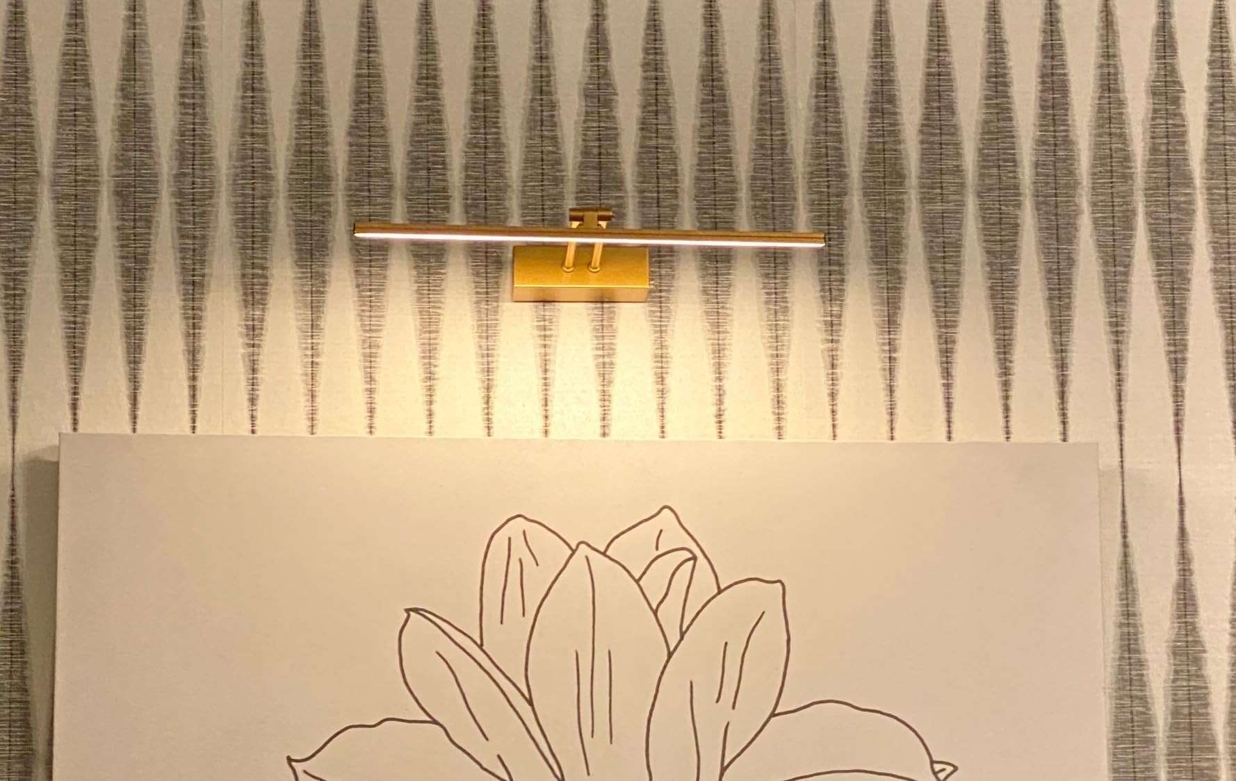 LED Picture Light, Hard-Wired Connection Dimmable Adjustable Artwork Light, 12W (60W Eqv.) CRI95+... | Amazon (US)