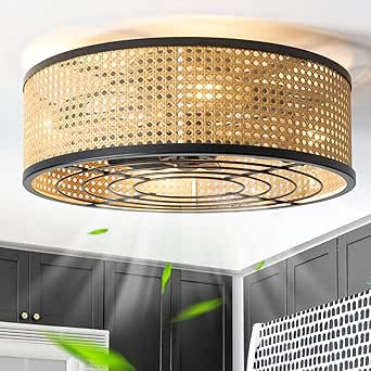 Rattan Boho Ceiling Fan with Light Flush Mount, 20 Inch Caged Ceiling Fans with Light and Remote ... | Amazon (US)