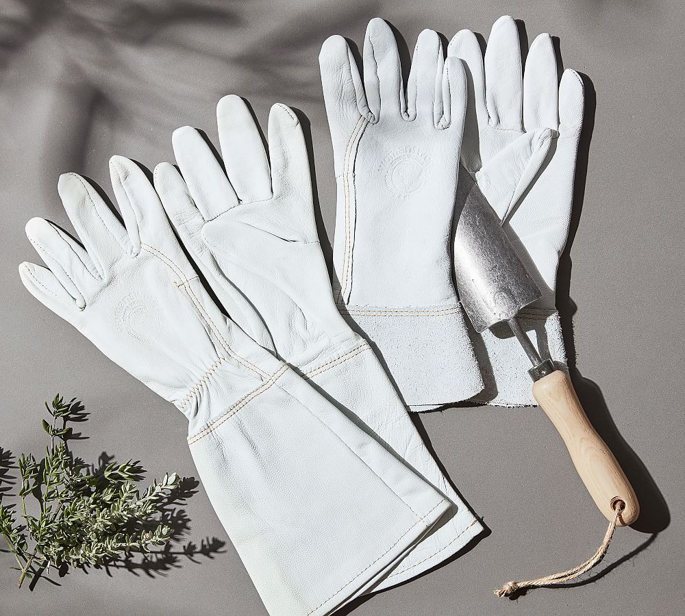 Goatskin Gardening Gloves | Pottery Barn (US)