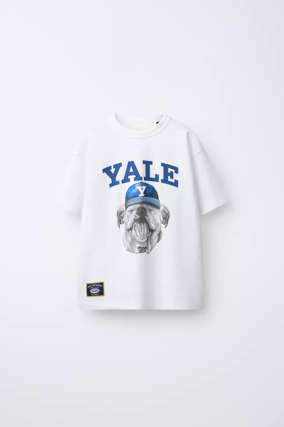YALE UNIVERSITY\u2122 DOG T-SHIRT | Zara US