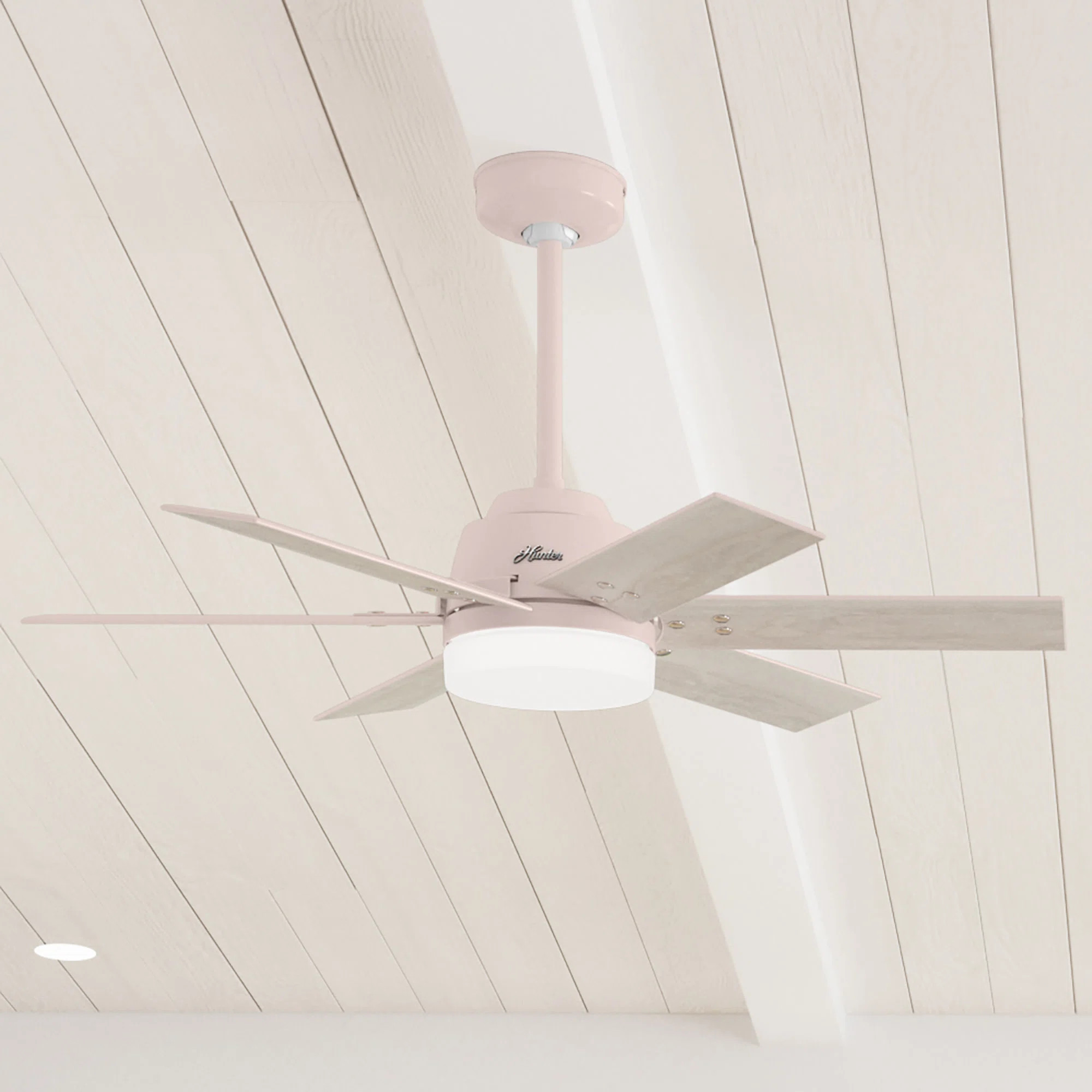 44" Pacer 6 - Blade Ceiling Fan with Lights and Remote | Wayfair North America