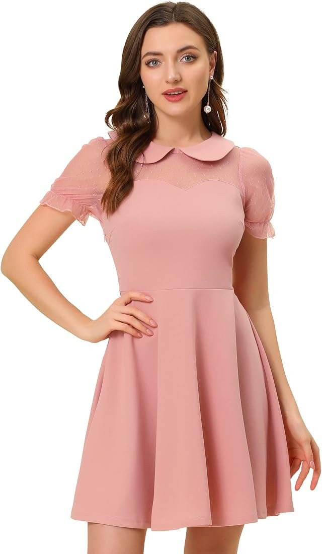 Allegra K Retro Dresses for Women's Peter Pan Collar Mesh Panel Vintage Cocktail Dress | Amazon (US)