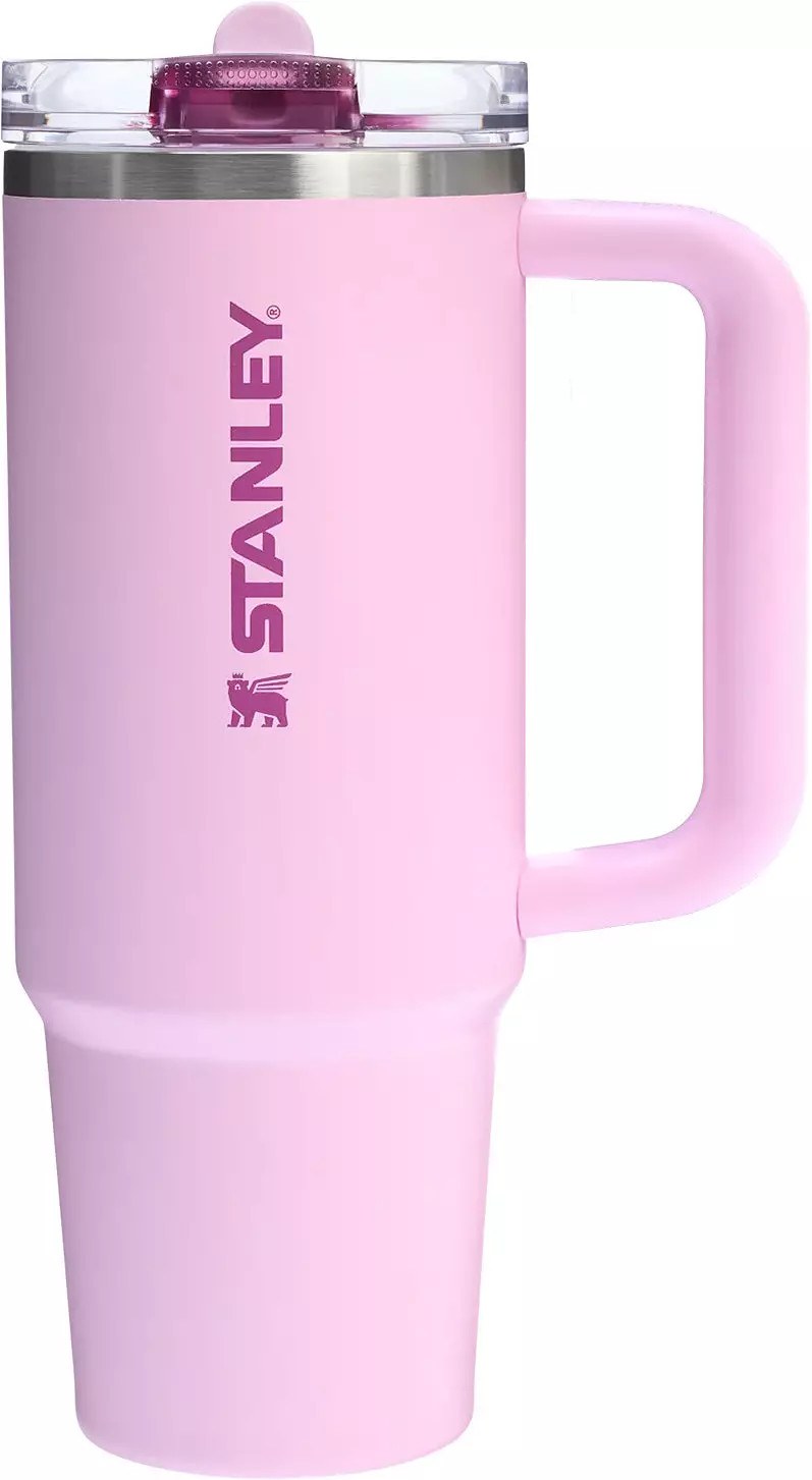 Stanley 30 oz. Quencher ProTour Flip Straw Tumbler | DICK'S Sporting Goods