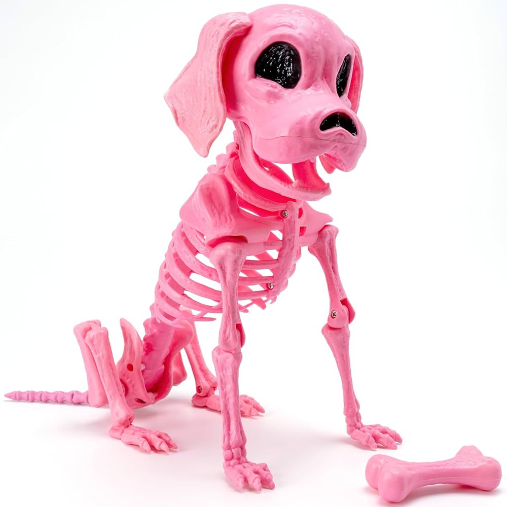 JOYIN Posable Dog Skeleton Halloween Decoration Full Body Movable Joints Realistic Skeleton Puppy... | Amazon (US)