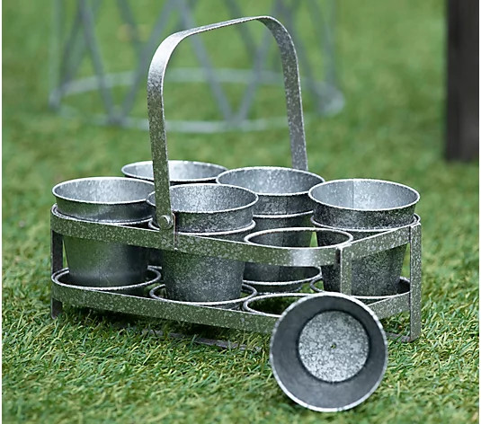 6-Piece Seed Starter Kit with Tray by Linda Vater | QVC