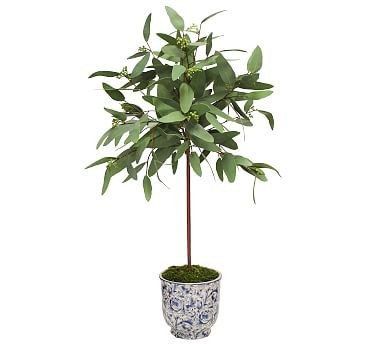 Faux Long Eucalyptus In Cachepot | Pottery Barn (US)
