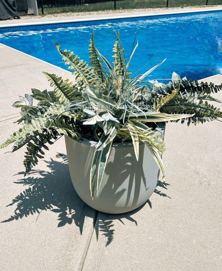Best thing about this plant?


I don’t have to water it or worry about killing it. 🙃 


Outdoor planter, ferns, faux ferns, patio, deck, pool, faux plant, concrete planter dupe

#LTKunder50 #LTKSeasonal #LTKhome