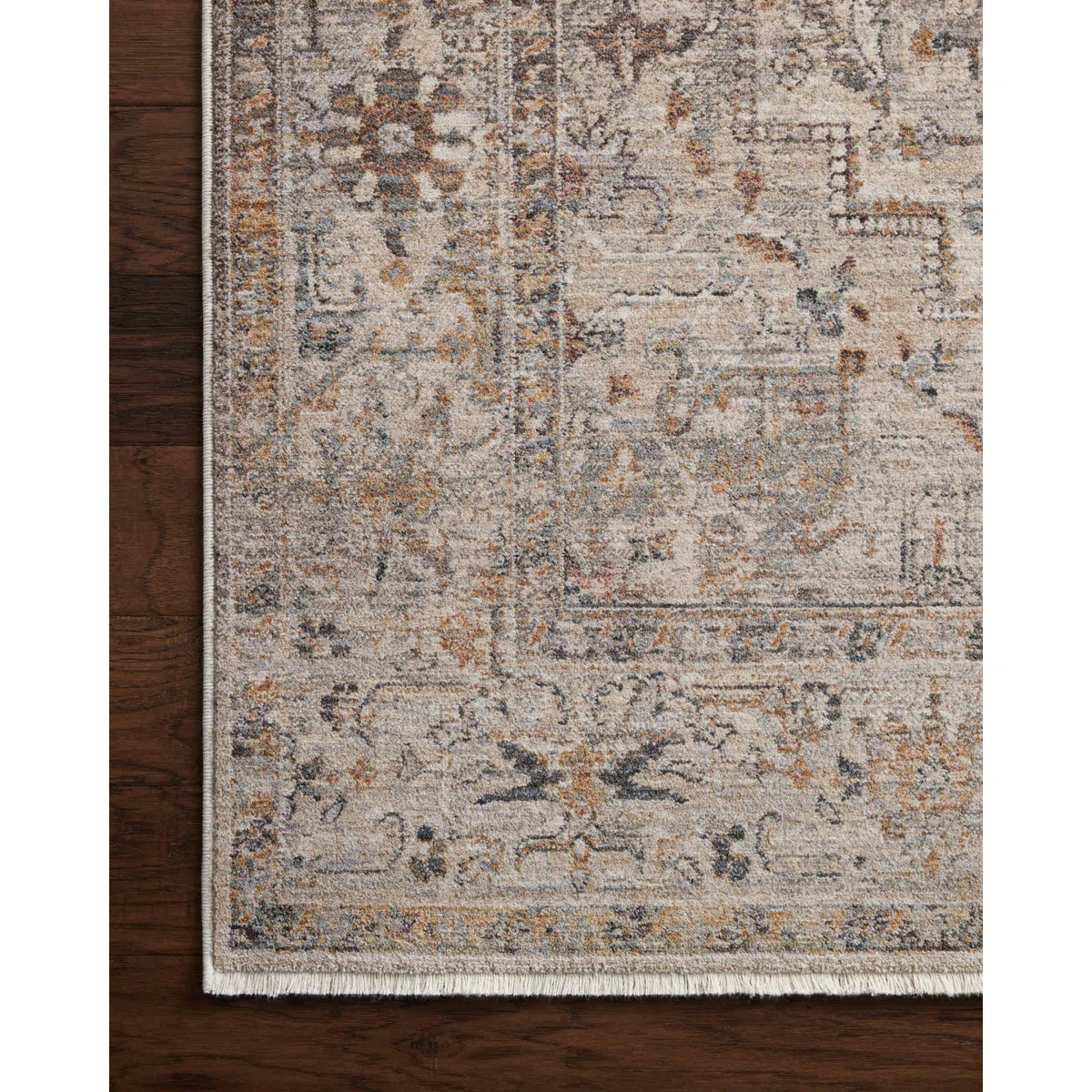 Lyra Oriental Indoor Rug | Wayfair North America