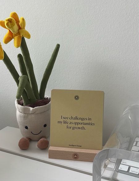 desk calendar mindful affirmations - cute gift idea! 

#LTKhome #LTKfindsunder50