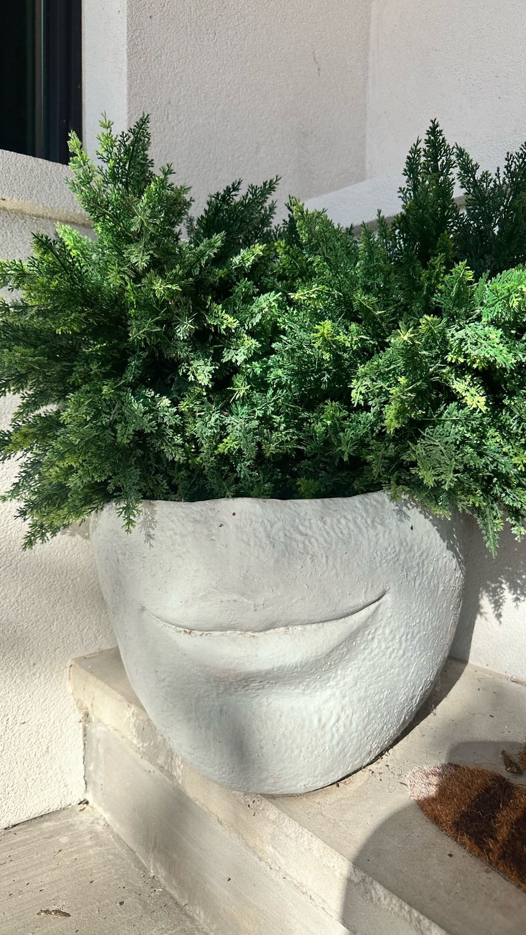 plants that never die! 🤩 and i think my planter needs lip on!! 💄

#LTKOver40 #LTKSeasonal #LTKHome