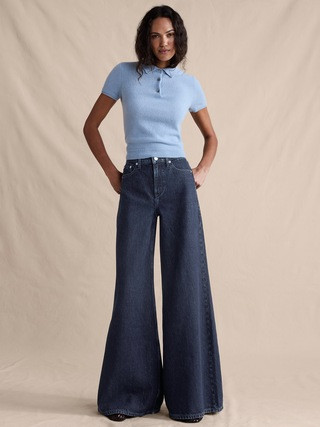 High-Rise Wide-Leg Lightweight Palazzo Jean | Banana Republic (US)