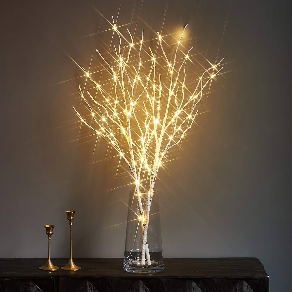 Amazon.com: LITBLOOM Lighted Brown Willow Branches 30IN 100 LED with Timer Battery Operated, Tree... | Amazon (US)