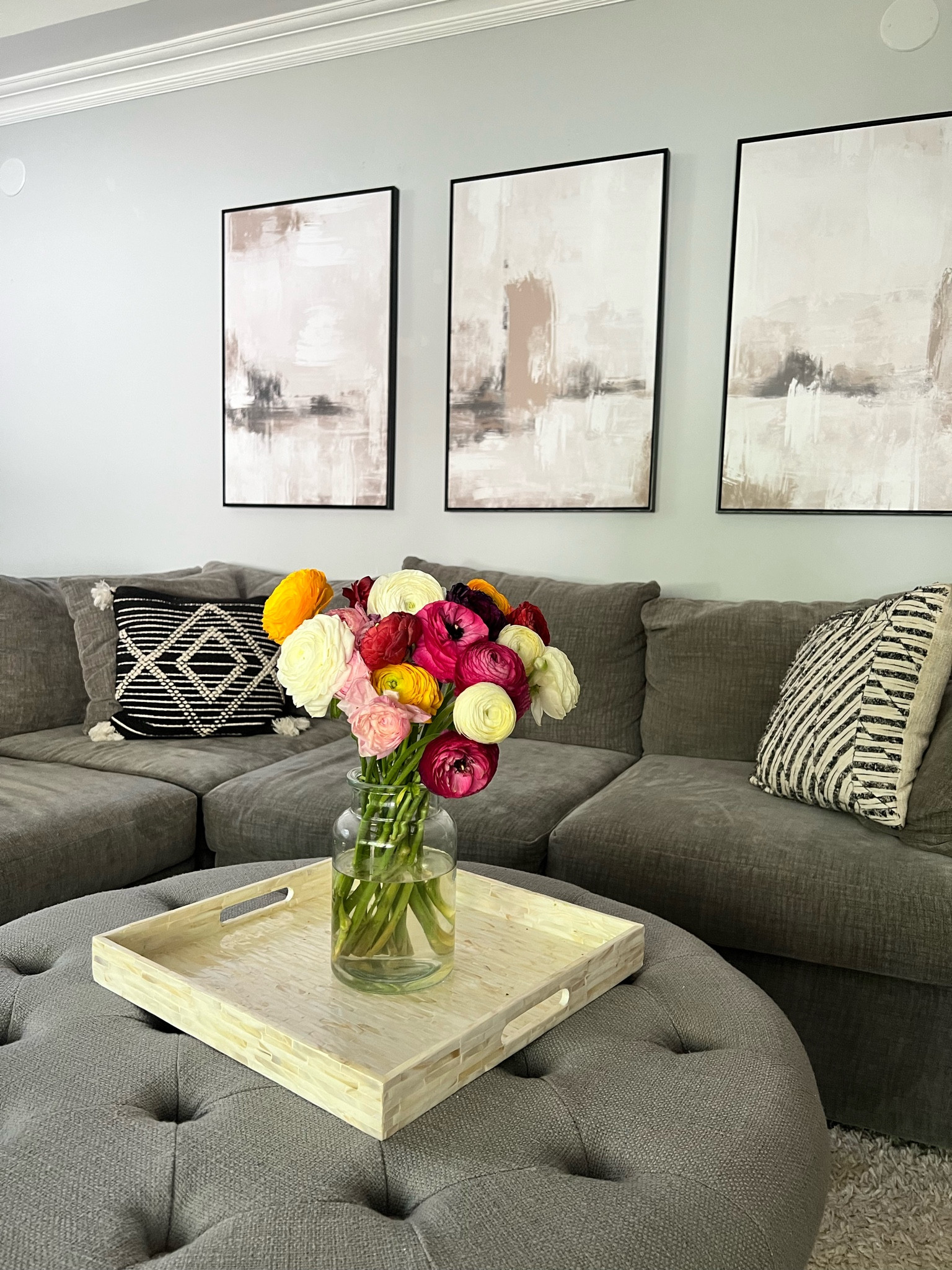 Shop my living room 

Accent pillows, artwork

#LTKHome