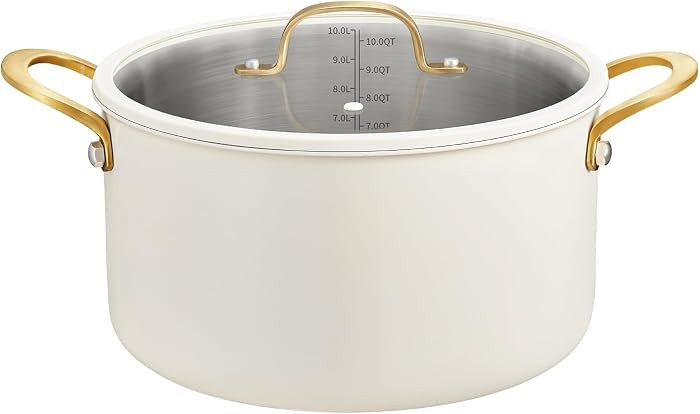 BEZIA 12 Quart Stainless Steel Stock Pot with Lid, Soup Pot for Large Gatherings & Holiday Feasts... | Amazon (US)