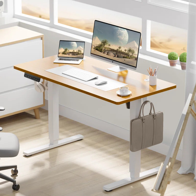 Koree Standing & Height-Adjustable Desks | Wayfair North America