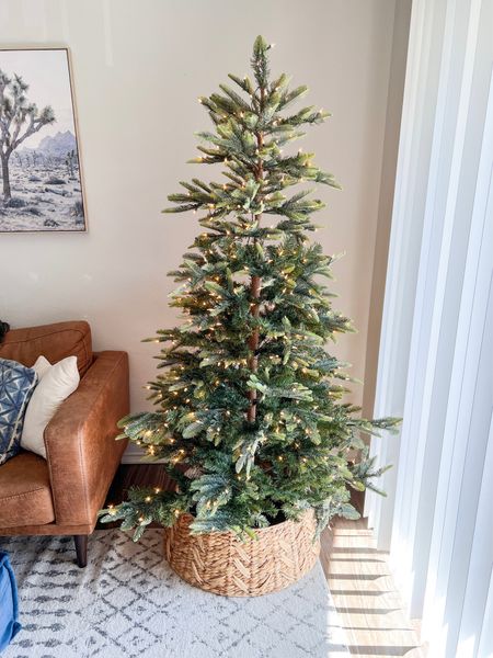 6.5’ Christmas tree, natural Christmas tree

#LTKSeasonal #LTKhome #LTKHoliday