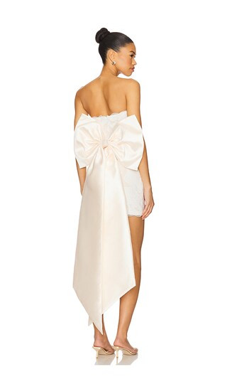 Florian Mini Dress | Revolve Clothing (Global)