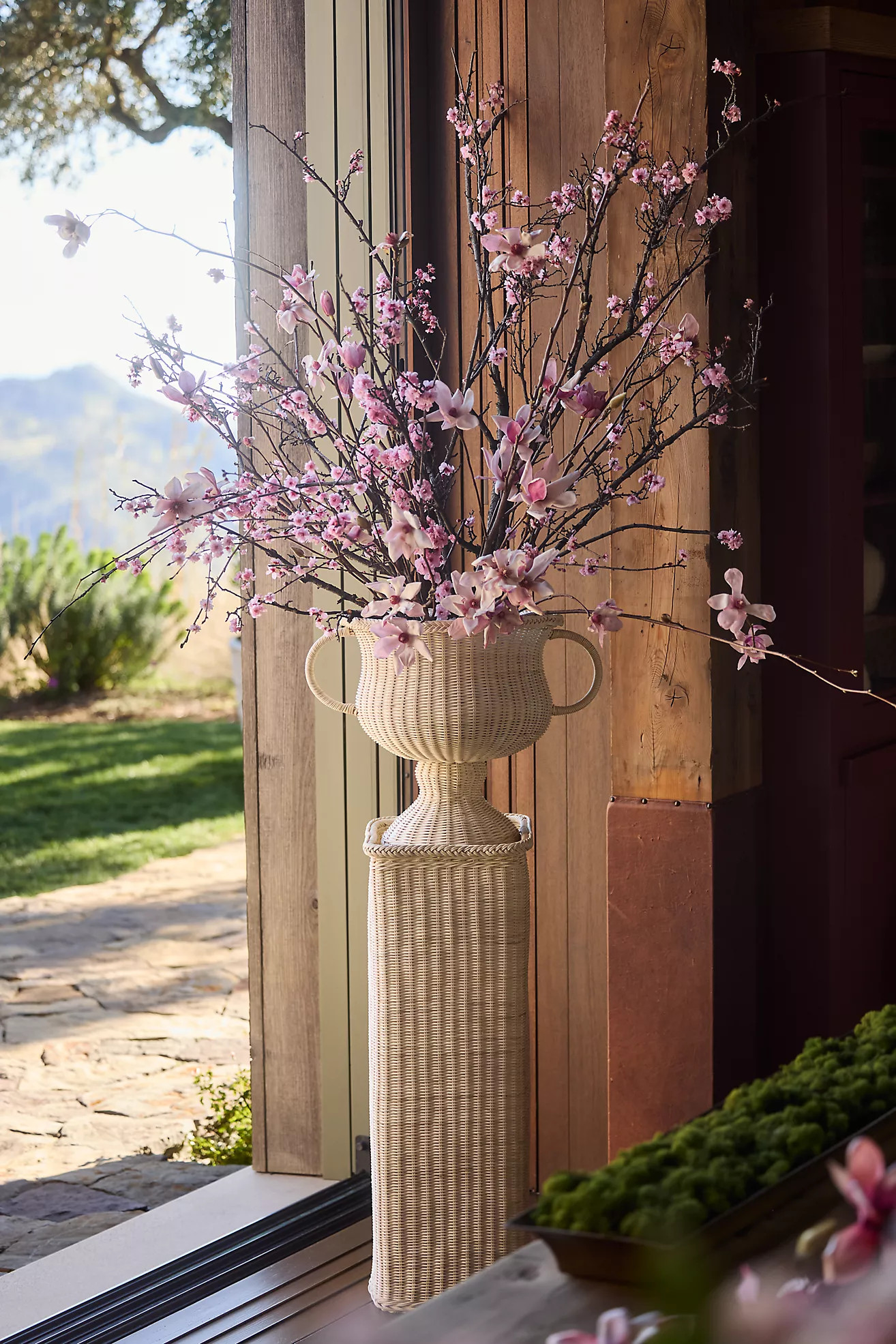 Rattan Urn Planter | Anthropologie (US)