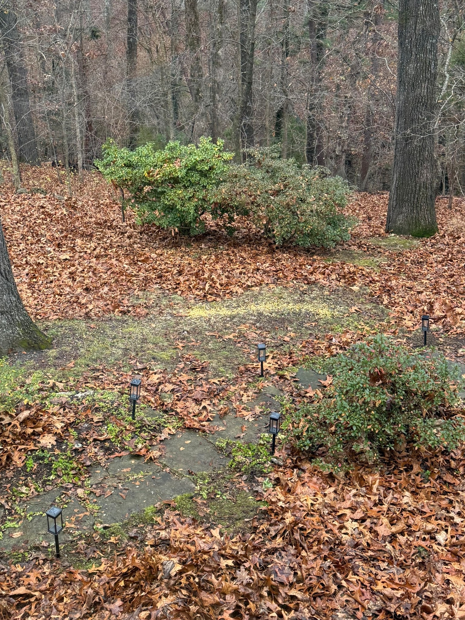 I just installed the easiest and affordable outdoor solar lights! Get them on sale while you can! 

#LTKHome #LTKSaleAlert