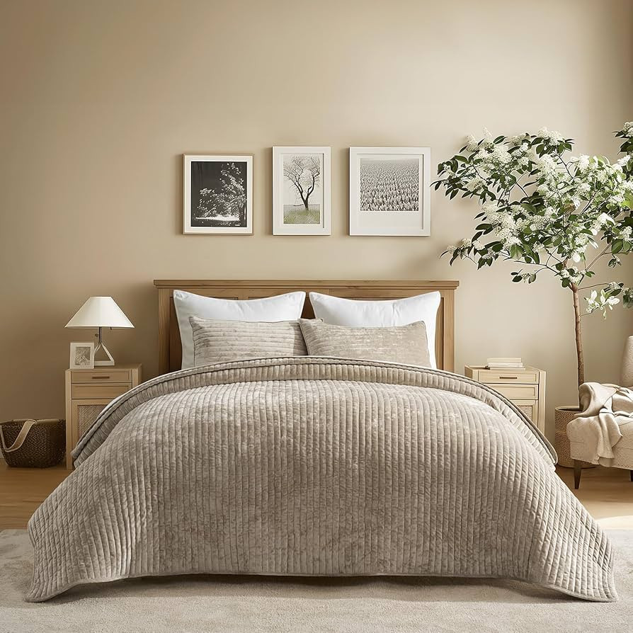 EVERGRACE Velvet Quilt Set Queen Size, Luxurious Soft Striped Channel Bedding Set, Lightweight Ve... | Amazon (US)