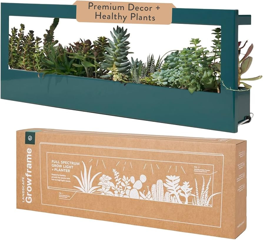 Modern Sprout Smart Landscape Growframe Wall Mounted Planter with LED Grow Light -Emerald | Amazon (US)