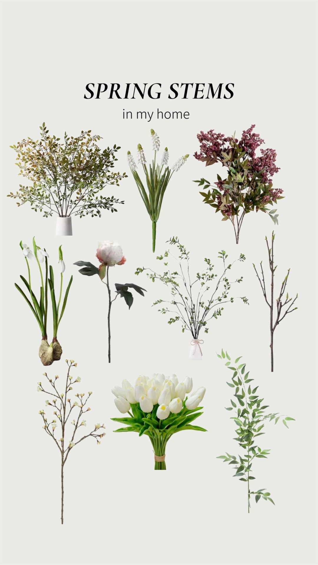 My go-to spring stems (all faux) that I rotate through our home every year. Lots of them I use year round  

Bathroom, kitchen, entry, coffee table, dresser — I love how much life they add without needing water or babysitting.

These are the ones I own and restyle constantly.



Spring, stems, faux, Amazon, Amazon home, Amazon, fine, tulip, branch, home decor, Afloral, peony, home refresh, coffee table decor, shelf decor, kitchen decor, living room decor, bedroom decor

#LTKSaleAlert #LTKSeasonal #LTKHome