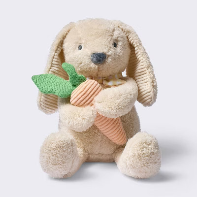 Bunny Plush Stuffed Animal Toy with Detachable Rattle - Cloud Island™ | Target