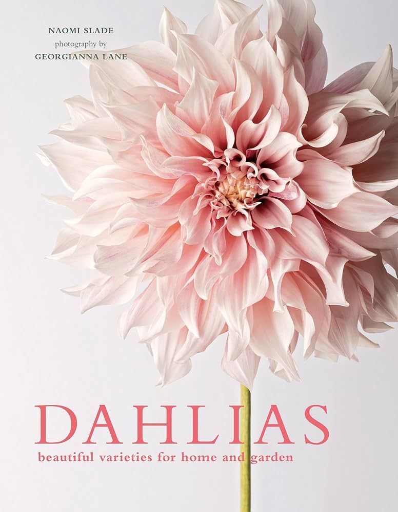 Dahlias: Beautiful Varieties for Home & Garden | Amazon (US)