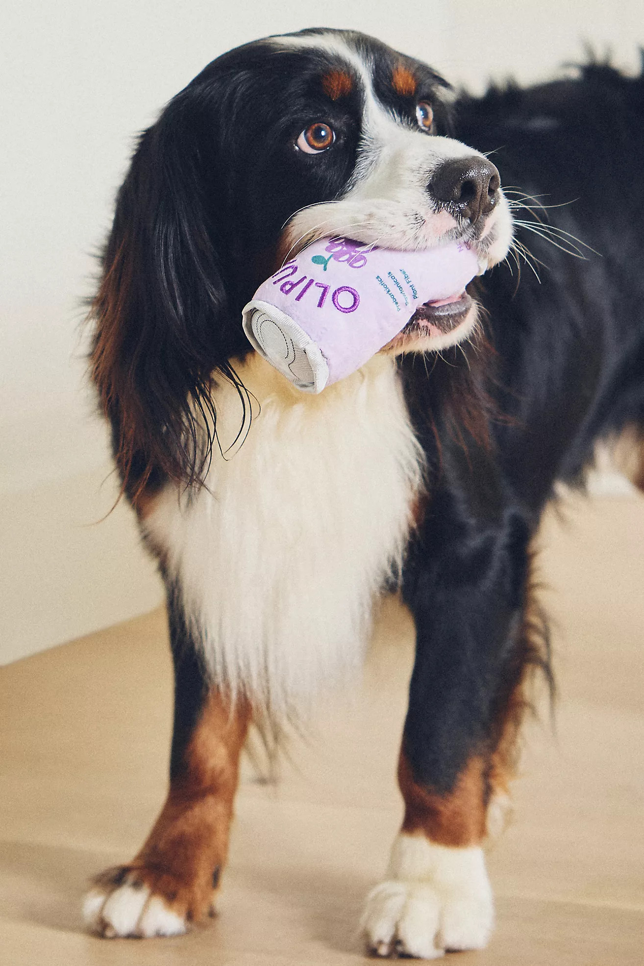 Haute Diggity Dog Beverage Dog Toy | Anthropologie (US)