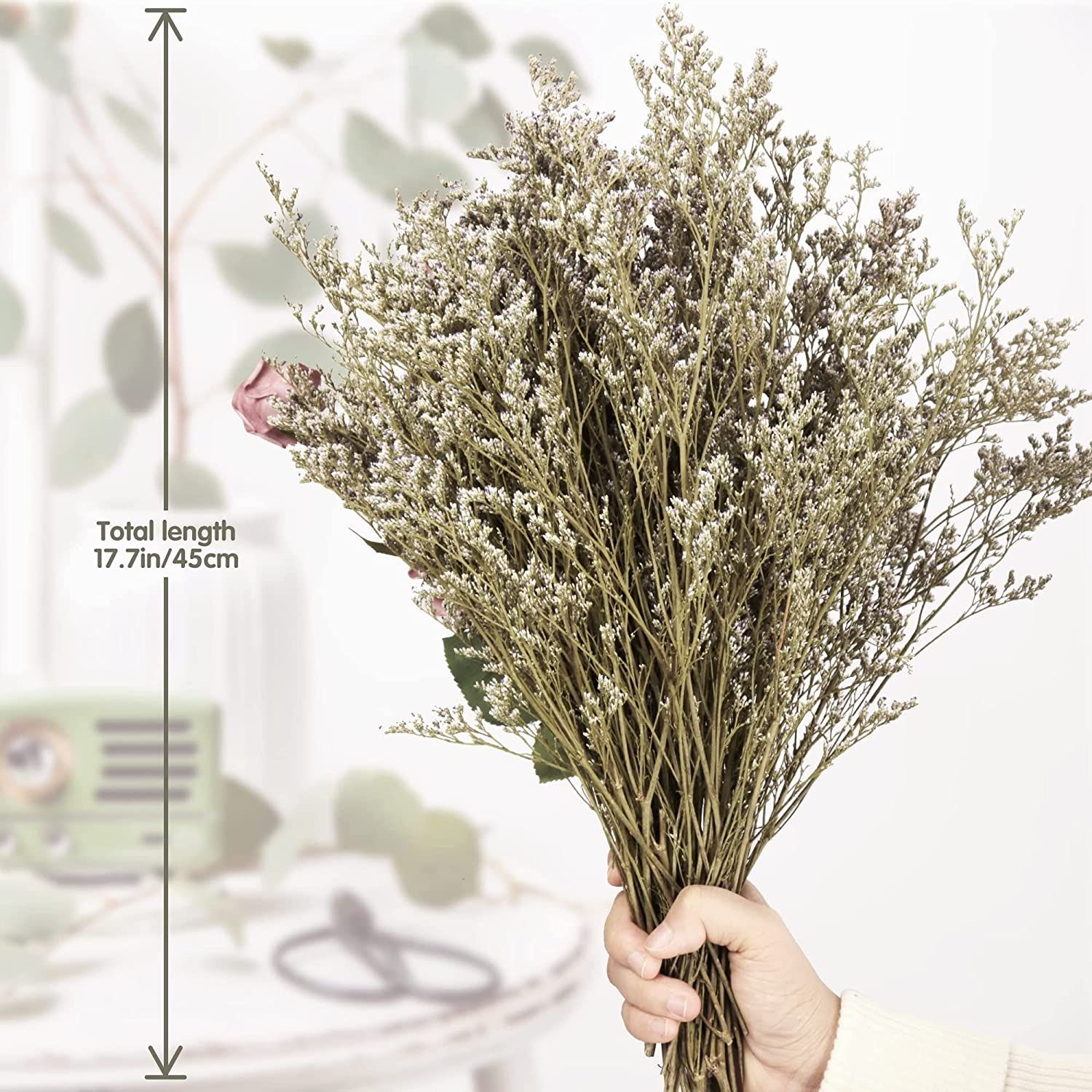 Saipro Preserved Natural Limonium Bouquet, 25+ Stems Real Fresh Caspia Bellidifolium, Baby Breath... | Amazon (US)