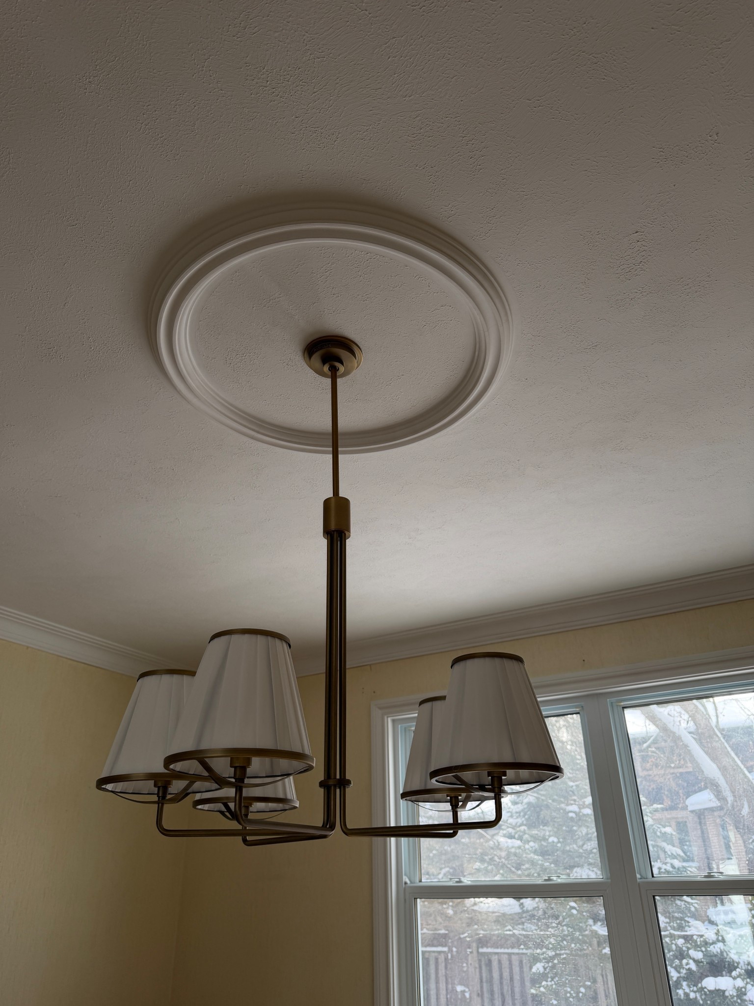 our dining room light fixture🤍

#LTKhome #LTKcanada