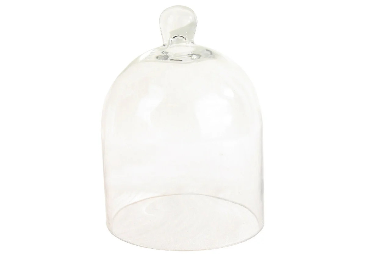 GLASS DOME | Alice Lane Home Collection