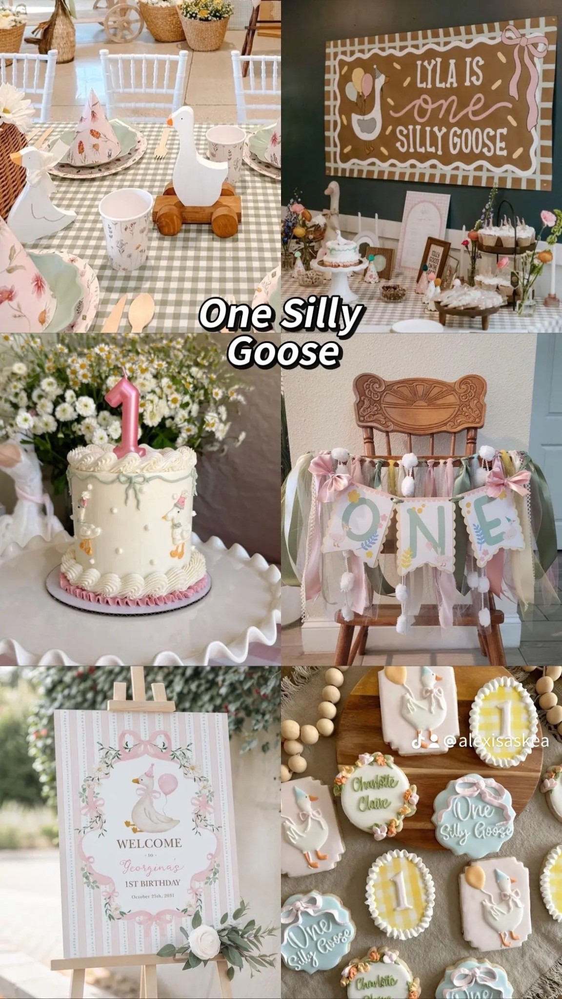One Silly Goose 🪿 One of my favorite baby birthday party themes! #OneYearOld #BabyGirlParty #FirstBirthday#LTKmomlife 

#LTKBaby #LTKKids