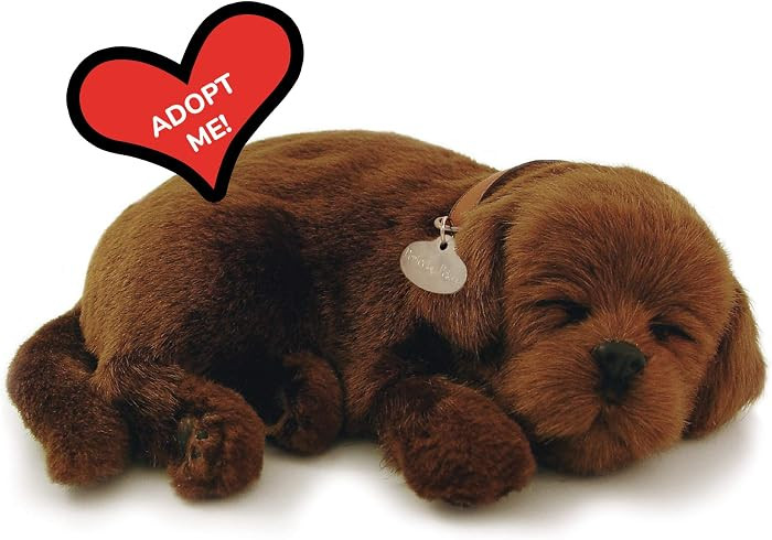 Perfect Petzzz Original Petzzz Chocolate Lab, Realistic, Life-Like Stuffed Interactive Plush Toy, Electronic Pets, Companion Pet Dog with 100% Handcrafted Synthetic Fur | Amazon (US)