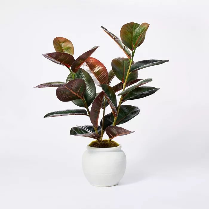 6" x 4.5" Artificial Rubber Plant in Ceramic Pot Purple - Threshold™ designed with Studio McGee | Target
