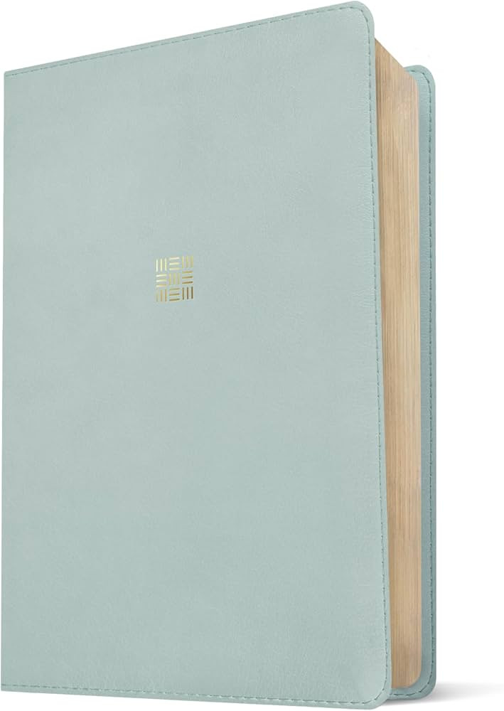NLT Every Woman\u2019s Bible, Filament Enabled (LeatherLike, Sky Blue, Red Letter) | Amazon (US)