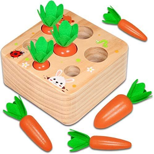 Hamsoo Montessori Toys for Toddlers Age 1, Carrot Harvest Shaped & Size Matching Game Fine Motor ... | Amazon (US)