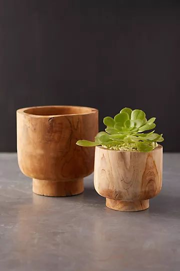 Footed Teak Cylinder Planter | Anthropologie (US)