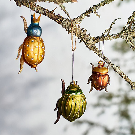 Beetle Ornaments, Set of 3 | Terrain