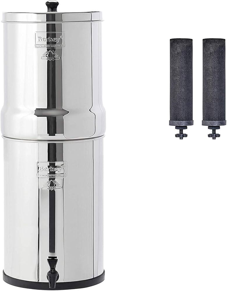 Crown Berkey Gravity-Fed Stainless Steel Countertop Water Filter System 6 Gallon with 2 Authentic... | Amazon (US)