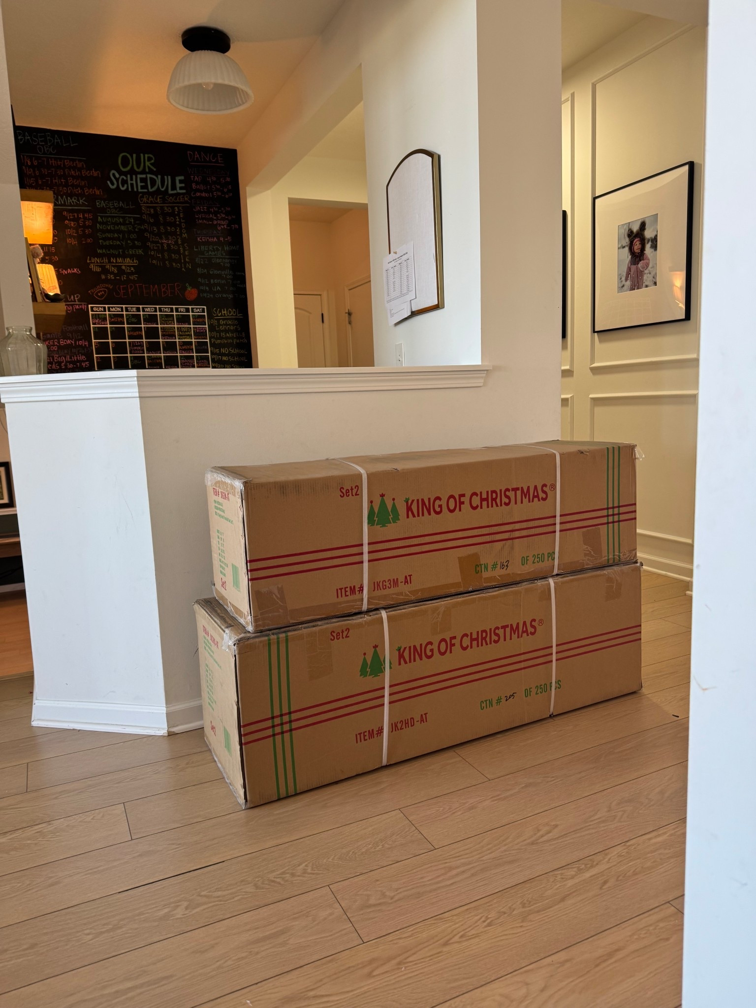 Our new king of Christmas tree arrived! Can’t wait to get this one up….in a few months. 

#LTKHome #LTKFamily #LTKSeasonal