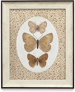 razliubit Butterfly Wall Art Prints, Replaceable Framed Vintage Wall Decors for Room Aesthtic, Sm... | Amazon (US)
