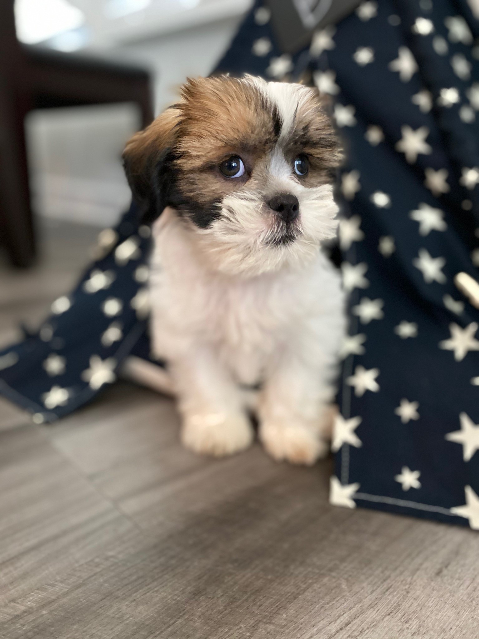 throwback to tiny baby boy! 

#LTKActive #LTKHome #LTKdayinmylife