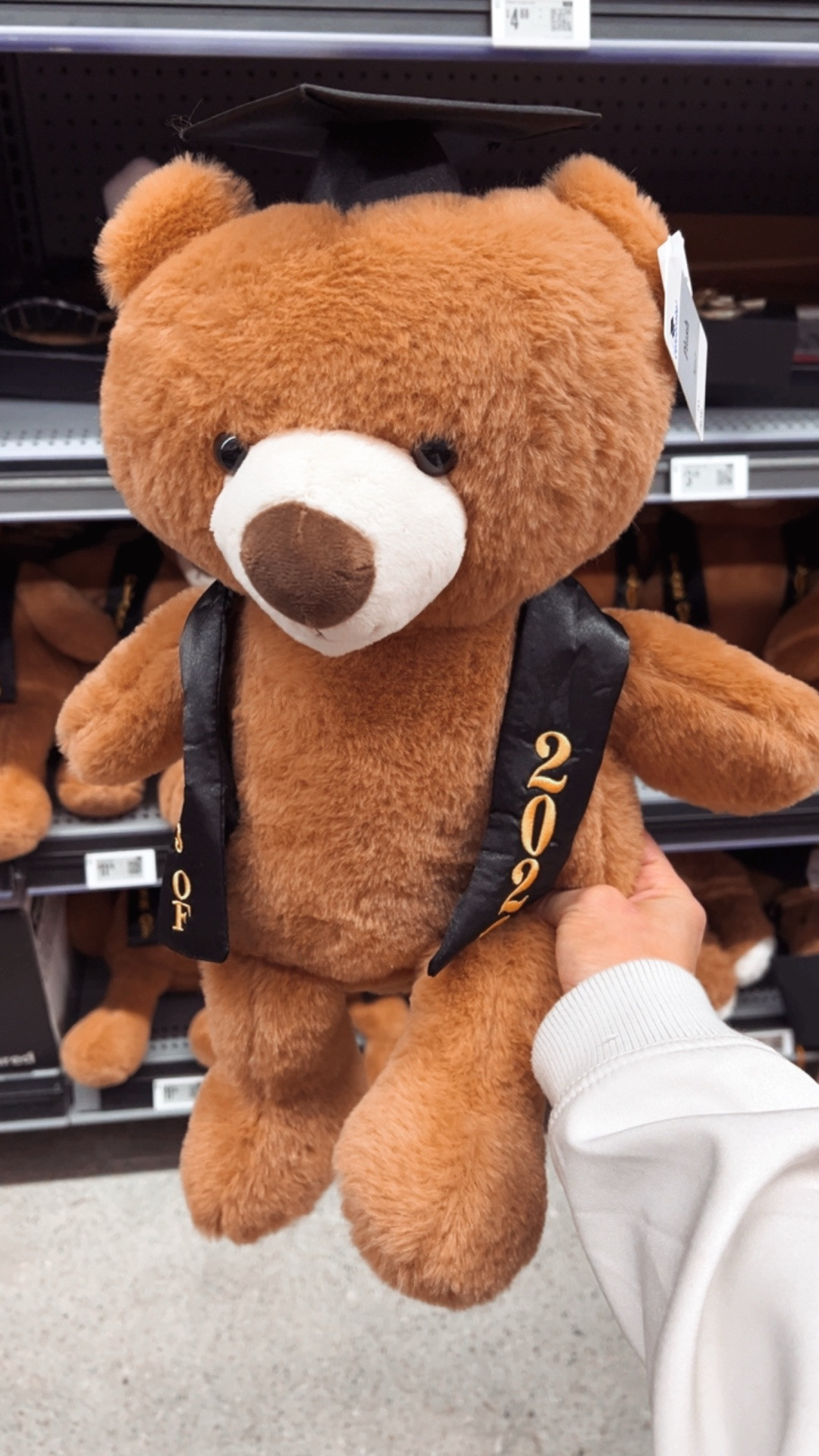 Hats off to the Grads!! Graduation plush, graduation party, graduation party supplies.

#LTKSeasonal #LTKSaleAlert #LTKmomlife
